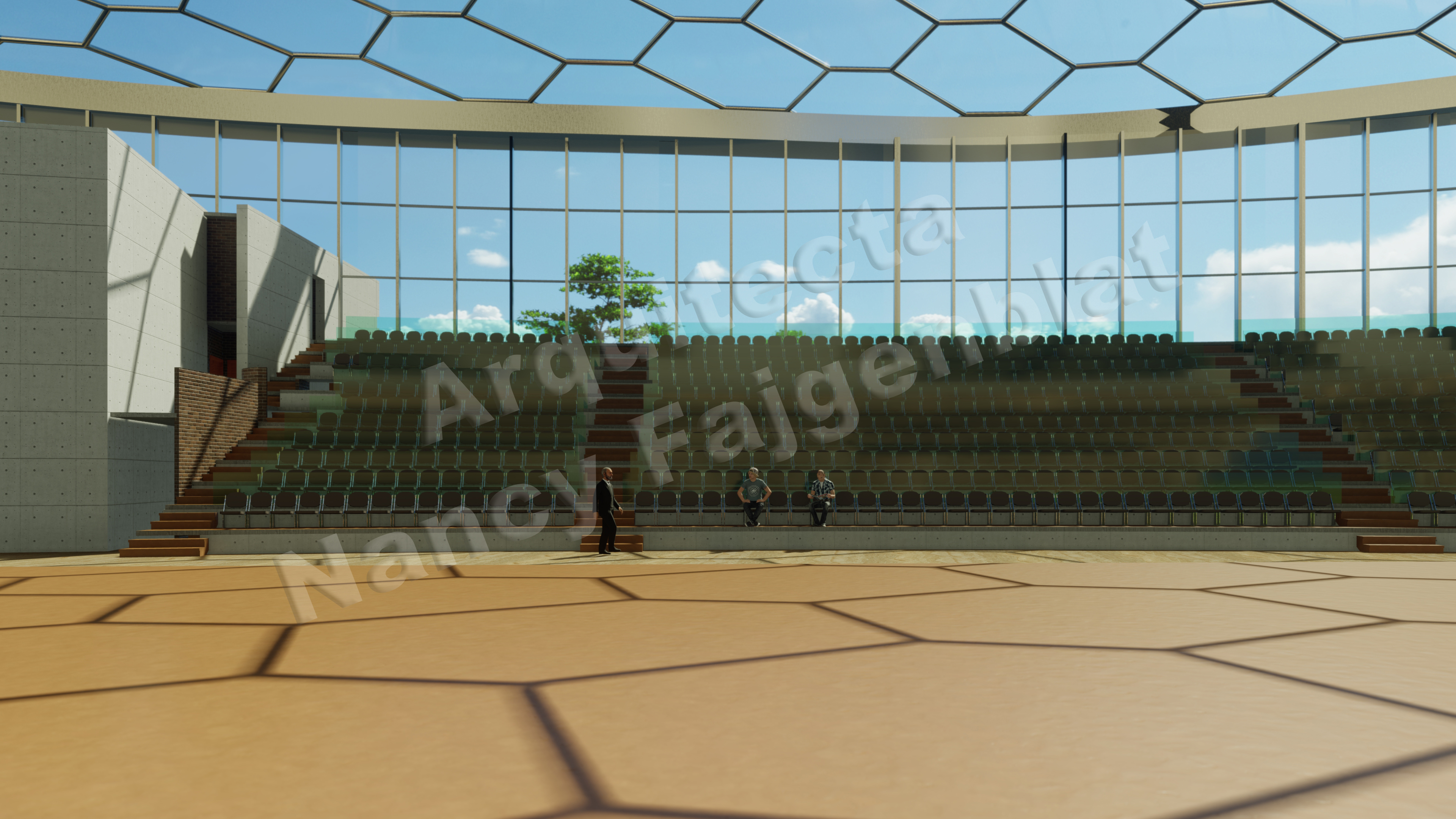 Proyecto de un estadio en Buenos Aires, Argentina