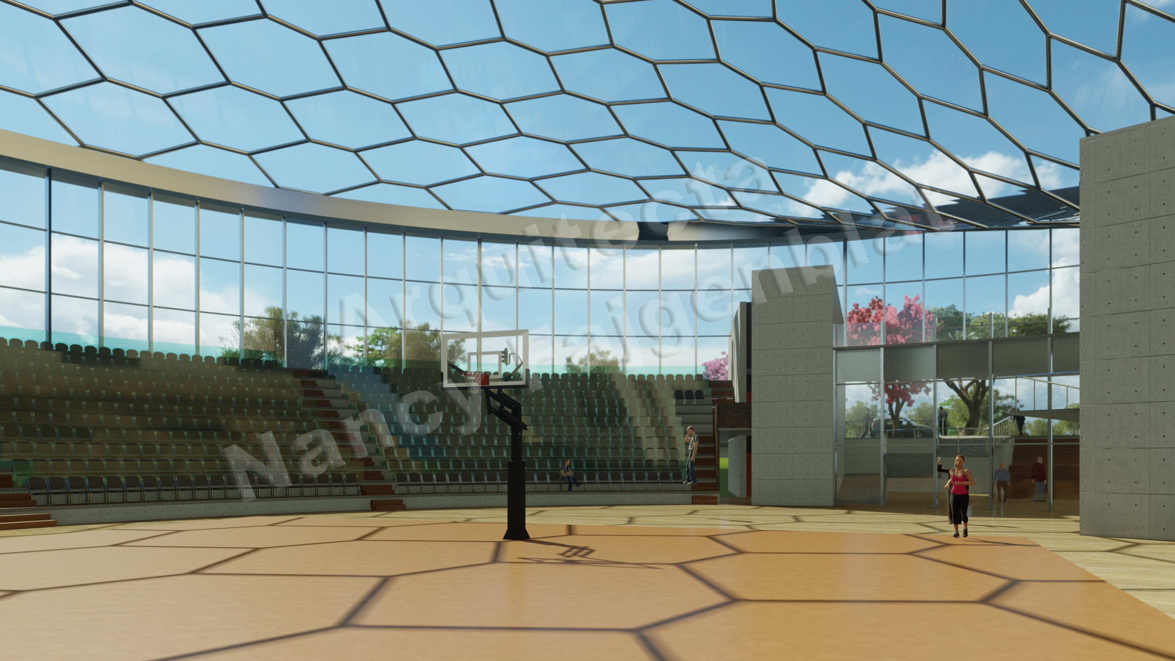 Proyecto de un estadio en Buenos Aires, Argentina