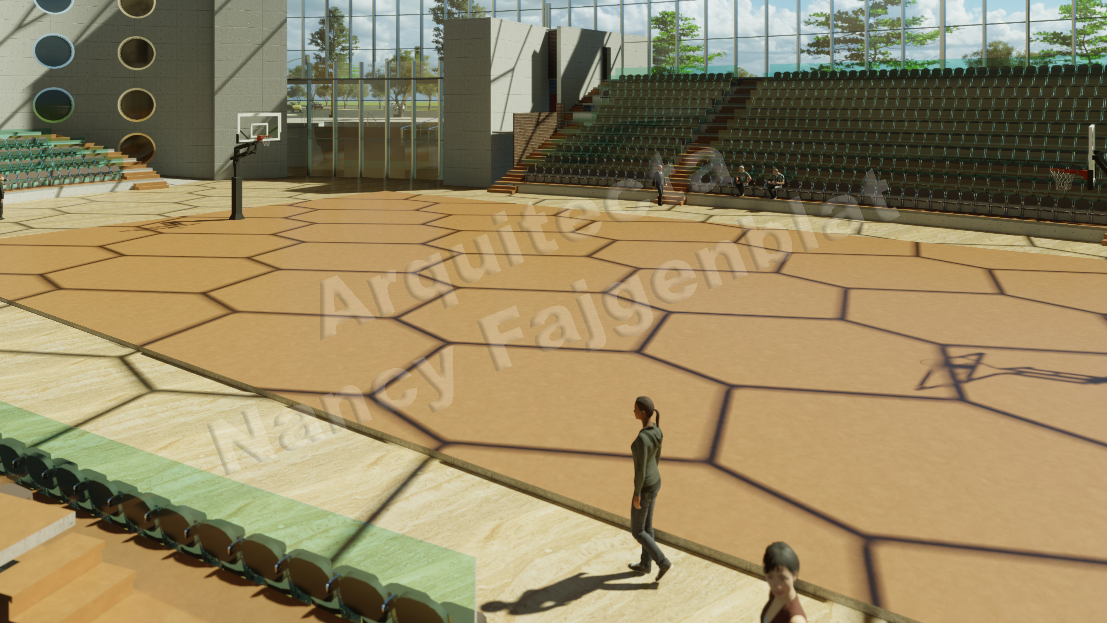 Proyecto de un estadio en Buenos Aires, Argentina