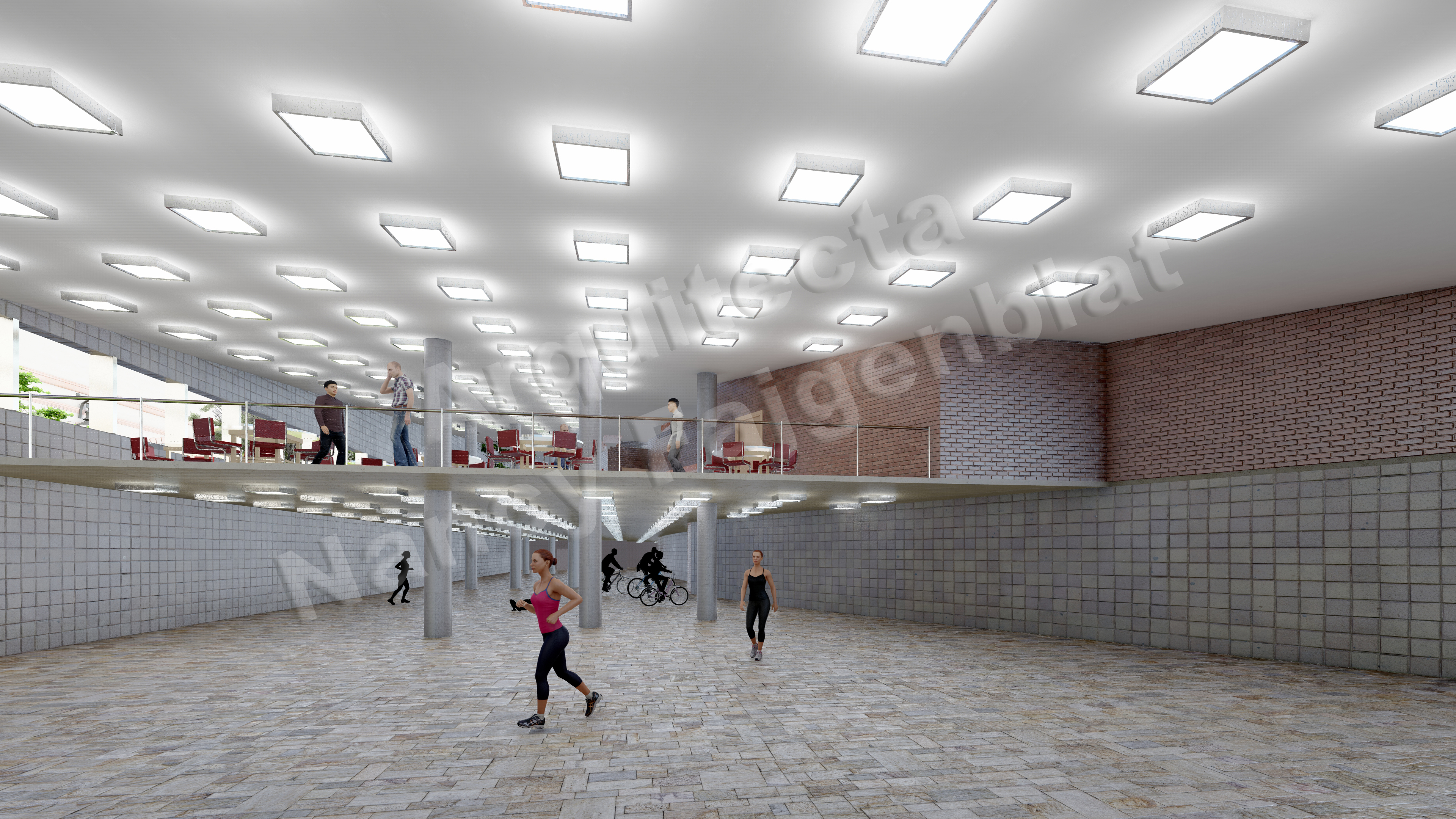 Proyecto de un estadio en Buenos Aires, Argentina