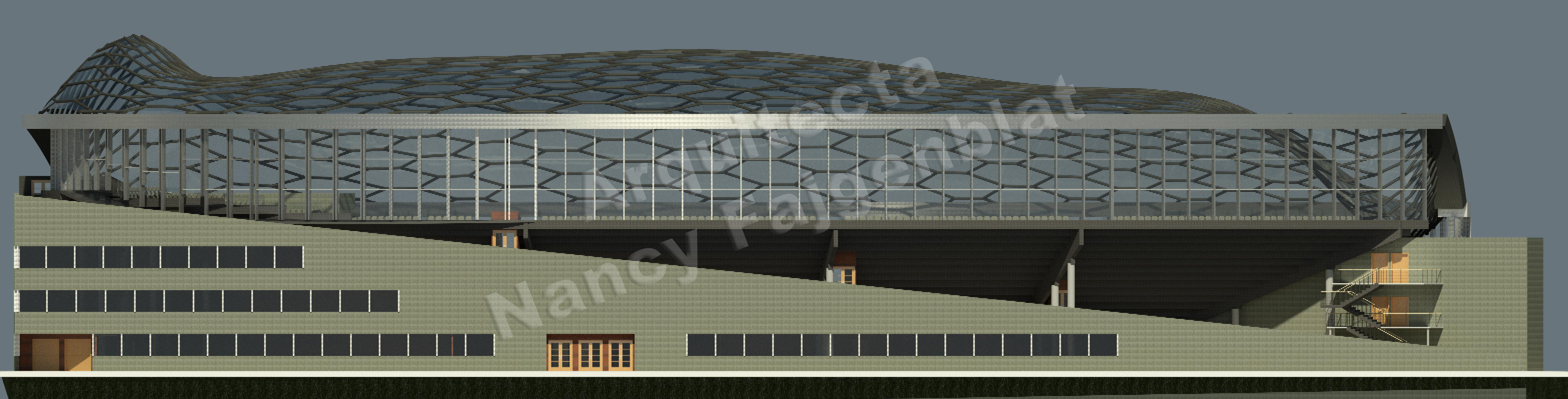 Proyecto de un estadio en Buenos Aires, Argentina