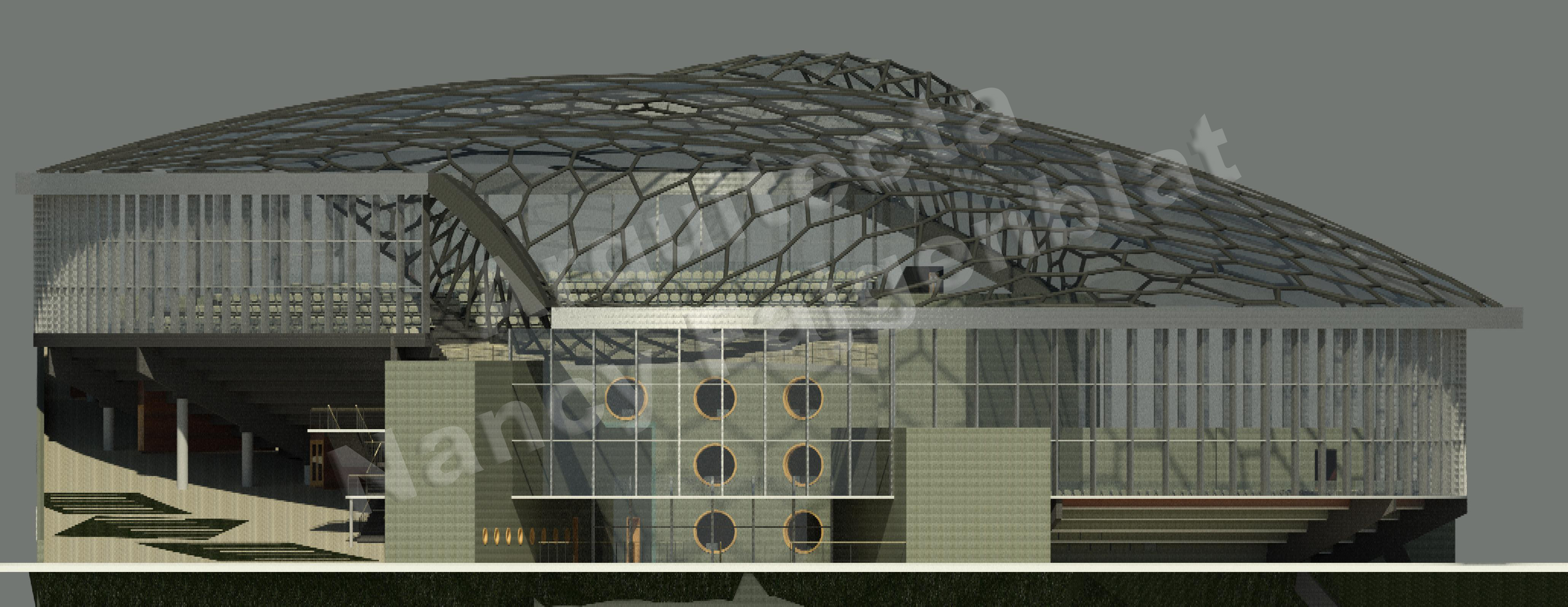 Proyecto de un estadio en Buenos Aires, Argentina