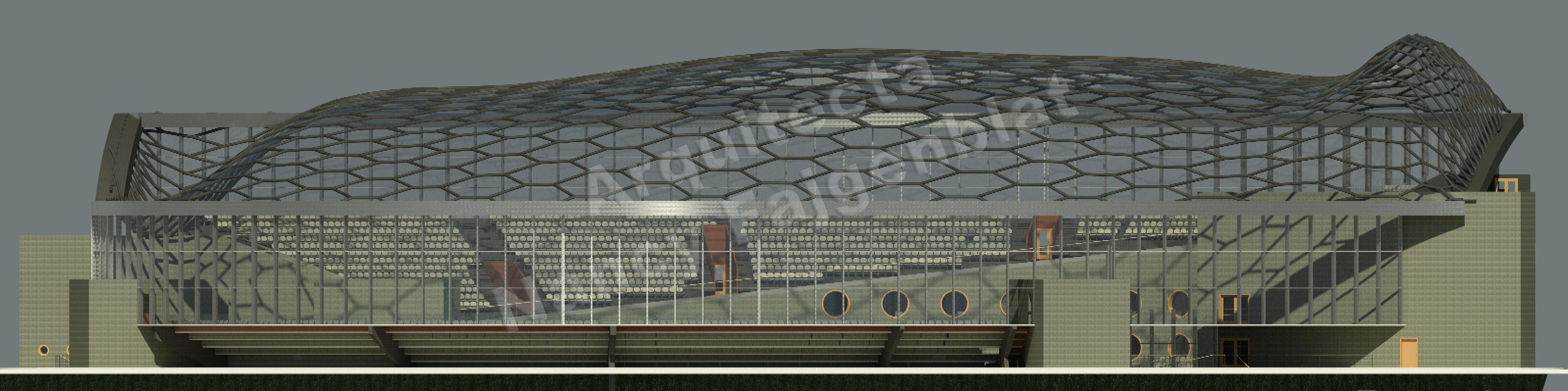 Proyecto de un estadio en Buenos Aires, Argentina