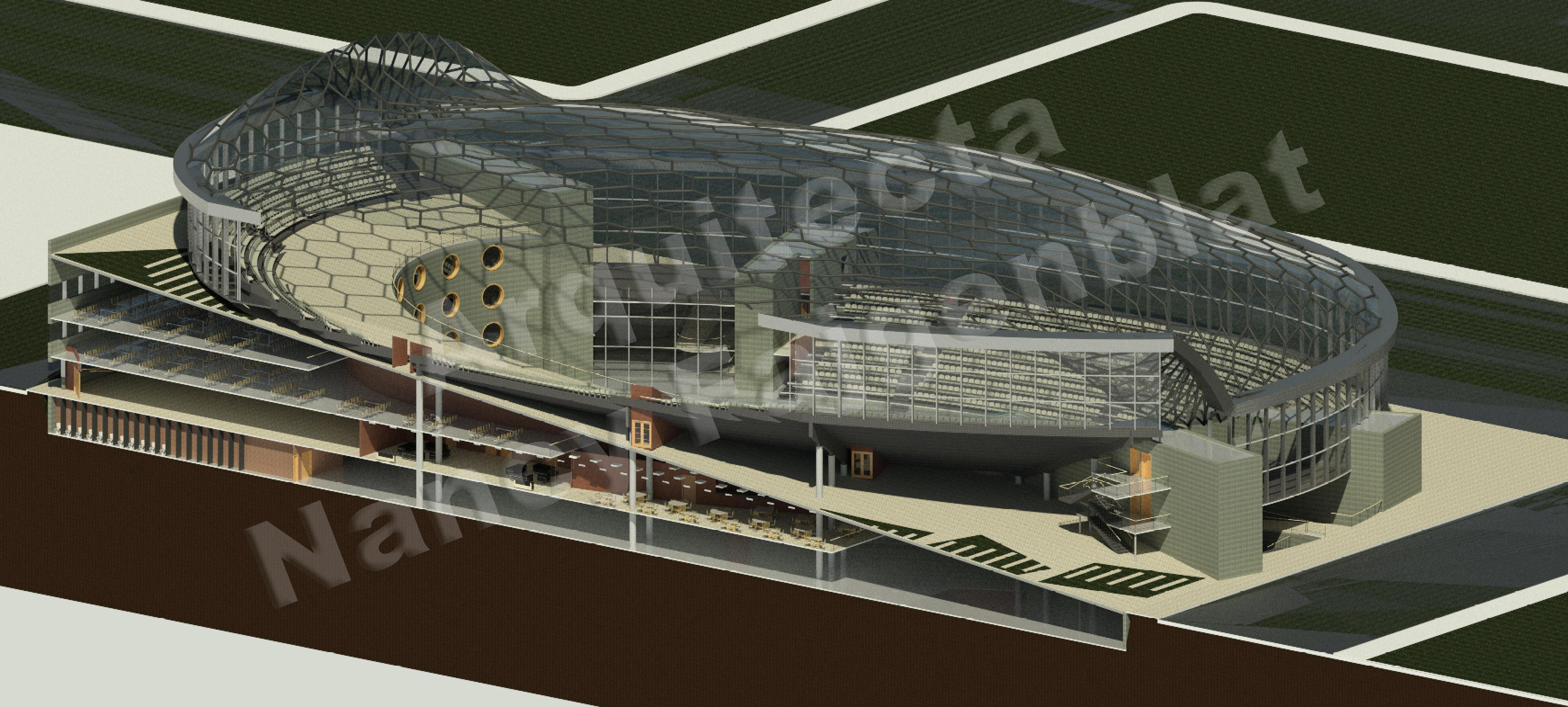 Proyecto de un estadio en Buenos Aires, Argentina